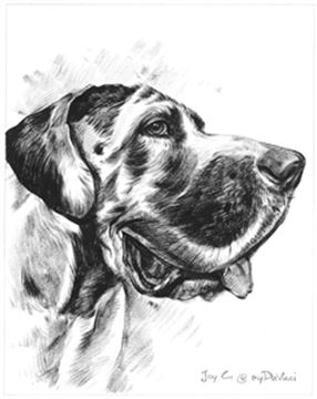 Hand Painted Ink Rendering Portraits from Photos