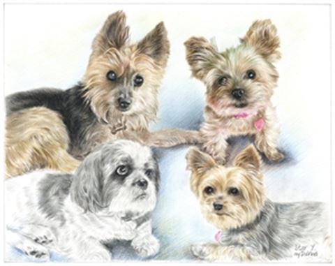 Hand Drawn Colored Pencil Portraits from Photos | Colored Pencil Drawings from Photos