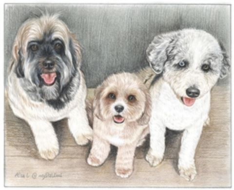 Hand Drawn Colored Pencil Portraits from Photos | Colored Pencil Drawings from Photos