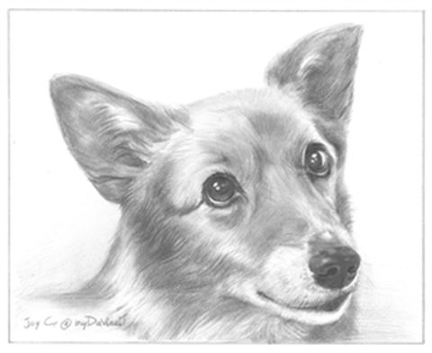 Hand Drawn Pencil Portraits from Photos | Pencil Portrait Drawing | Pencil Sketch Artists