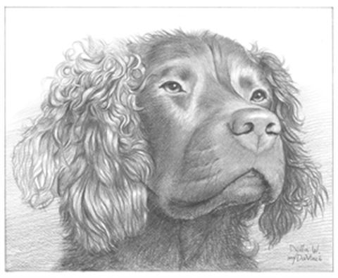 Hand Drawn Pencil Portraits from Photos | Pencil Portrait Drawing | Pencil Sketch Artists