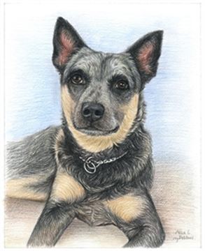 Hand Drawn Colored Pencil Portraits from Photos | Colored Pencil Drawings from Photos