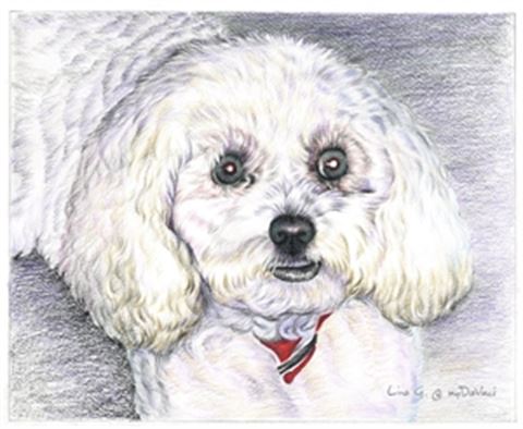 Hand Drawn Colored Pencil Portraits from Photos | Colored Pencil Drawings from Photos