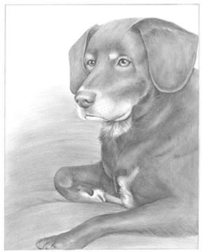 Hand Drawn Pencil Portraits from Photos | Pencil Portrait Drawing | Pencil Sketch Artists