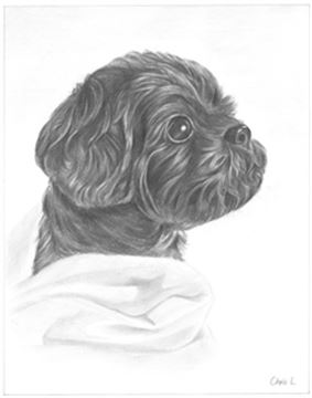 Hand Drawn Pencil Portraits from Photos | Pencil Portrait Drawing | Pencil Sketch Artists