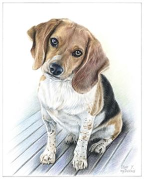 Hand Drawn Colored Pencil Portraits from Photos | Colored Pencil Drawings from Photos