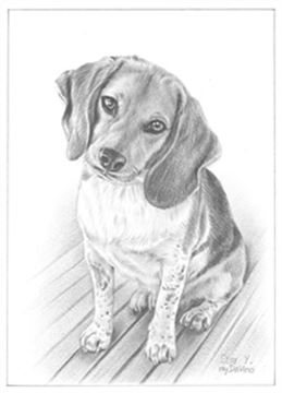 Hand Drawn Pencil Portraits from Photos | Pencil Portrait Drawing | Pencil Sketch Artists