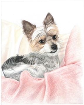 Hand Drawn Colored Pencil Portraits from Photos | Colored Pencil Drawings from Photos