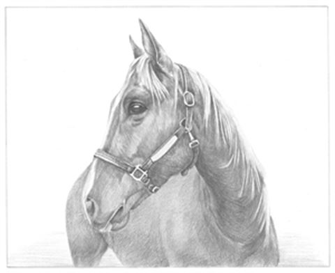 Hand Drawn Pencil Portraits from Photos | Pencil Portrait Drawing | Pencil Sketch Artists