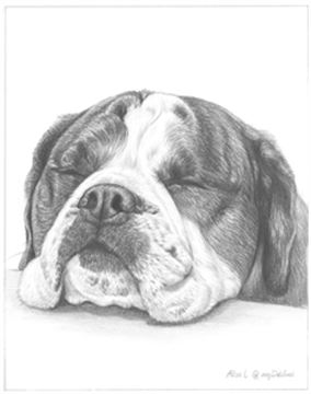 Hand Drawn Pencil Portraits from Photos | Pencil Portrait Drawing | Pencil Sketch Artists
