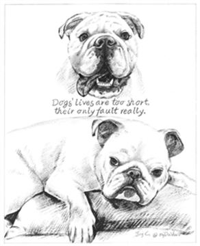 Hand Painted Ink Rendering Portraits from Photos