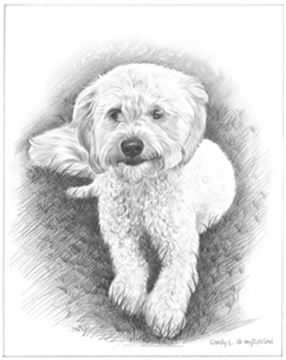 Hand Drawn Pencil Portraits from Photos | Pencil Portrait Drawing | Pencil Sketch Artists