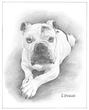 Hand Drawn Pencil Portraits from Photos | Pencil Portrait Drawing | Pencil Sketch Artists