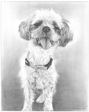 Hand Drawn Pencil Portraits from Photos | Pencil Portrait Drawing | Pencil Sketch Artists