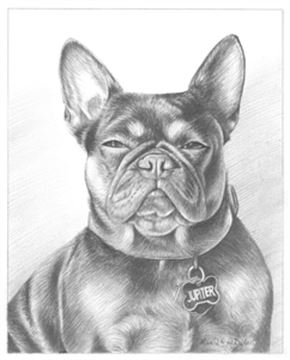 Hand Drawn Pencil Portraits from Photos | Pencil Portrait Drawing | Pencil Sketch Artists