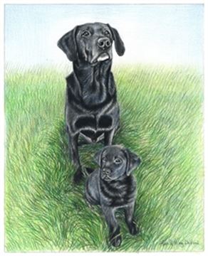 Hand Drawn Colored Pencil Portraits from Photos | Colored Pencil Drawings from Photos