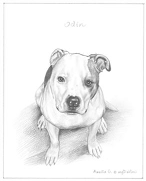 Hand Drawn Pencil Portraits from Photos | Pencil Portrait Drawing | Pencil Sketch Artists