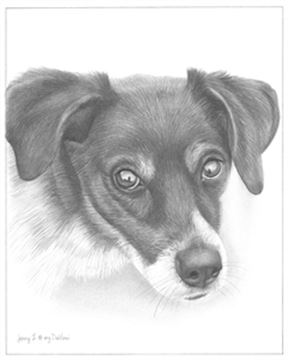 Hand Drawn Pencil Portraits from Photos | Pencil Portrait Drawing | Pencil Sketch Artists