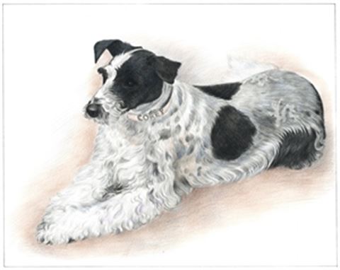 Hand Drawn Colored Pencil Portraits from Photos | Colored Pencil Drawings from Photos