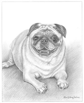 Hand Drawn Pencil Portraits from Photos | Pencil Portrait Drawing | Pencil Sketch Artists