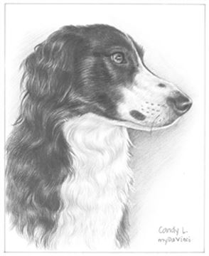 Hand Drawn Pencil Portraits from Photos | Pencil Portrait Drawing | Pencil Sketch Artists