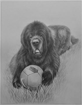 Hand Drawn Pencil Portraits from Photos | Pencil Portrait Drawing | Pencil Sketch Artists