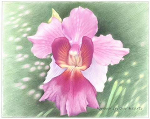 Hand Drawn Colored Pencil Portraits from Photos | Colored Pencil Drawings from Photos