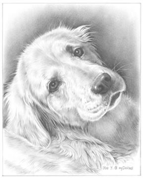 Hand Drawn Pencil Portraits from Photos | Pencil Portrait Drawing | Pencil Sketch Artists