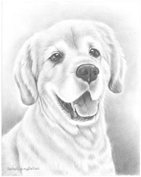 Hand Drawn Pencil Portraits from Photos | Pencil Portrait Drawing | Pencil Sketch Artists