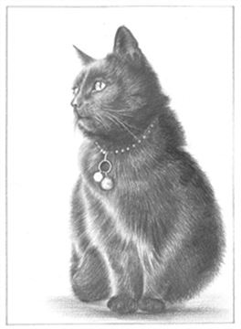 Hand Drawn Pencil Portraits from Photos | Pencil Portrait Drawing | Pencil Sketch Artists