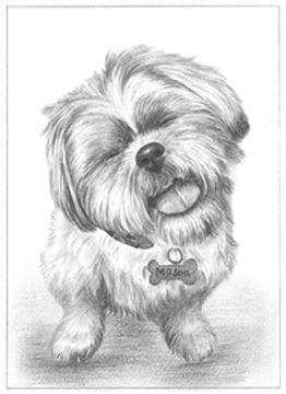 Hand Drawn Pencil Portraits from Photos | Pencil Portrait Drawing | Pencil Sketch Artists