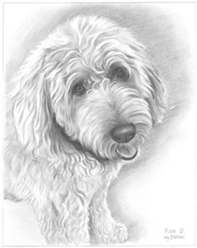 Hand Drawn Pencil Portraits from Photos | Pencil Portrait Drawing | Pencil Sketch Artists