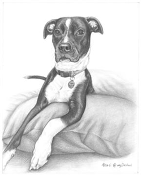 Hand Drawn Pencil Portraits from Photos | Pencil Portrait Drawing | Pencil Sketch Artists