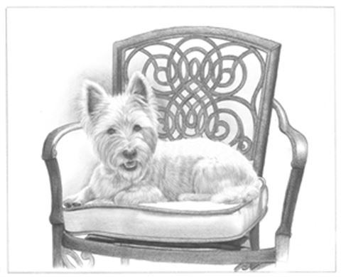 Hand Drawn Pencil Portraits from Photos | Pencil Portrait Drawing | Pencil Sketch Artists