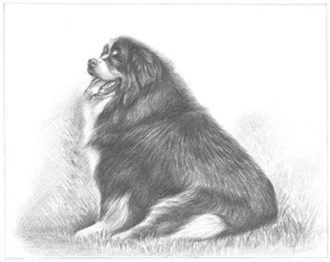 Hand Drawn Pencil Portraits from Photos | Pencil Portrait Drawing | Pencil Sketch Artists
