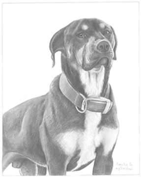 Hand Drawn Pencil Portraits from Photos | Pencil Portrait Drawing | Pencil Sketch Artists