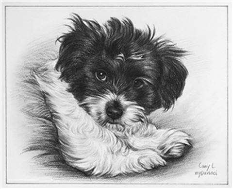 Hand Drawn Pencil Portraits from Photos | Pencil Portrait Drawing | Pencil Sketch Artists