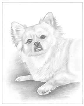 Hand Drawn Pencil Portraits from Photos | Pencil Portrait Drawing | Pencil Sketch Artists