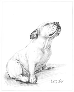 Hand Painted Ink Rendering Portraits from Photos