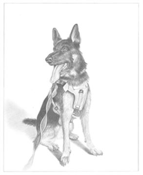 Hand Drawn Pencil Portraits from Photos | Pencil Portrait Drawing | Pencil Sketch Artists
