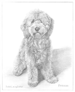 Hand Drawn Pencil Portraits from Photos | Pencil Portrait Drawing | Pencil Sketch Artists