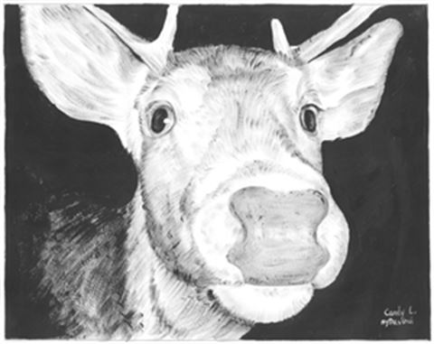 Hand Painted Ink Rendering Portraits from Photos