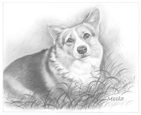 Hand Drawn Pencil Portraits from Photos | Pencil Portrait Drawing | Pencil Sketch Artists