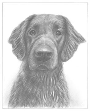 Hand Drawn Pencil Portraits from Photos | Pencil Portrait Drawing | Pencil Sketch Artists