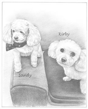 Hand Drawn Pencil Portraits from Photos | Pencil Portrait Drawing | Pencil Sketch Artists
