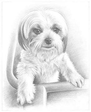 Hand Drawn Pencil Portraits from Photos | Pencil Portrait Drawing | Pencil Sketch Artists