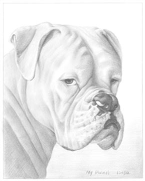 Hand Drawn Pencil Portraits from Photos | Pencil Portrait Drawing | Pencil Sketch Artists
