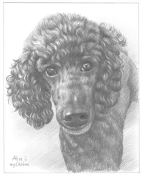 Hand Drawn Pencil Portraits from Photos | Pencil Portrait Drawing | Pencil Sketch Artists