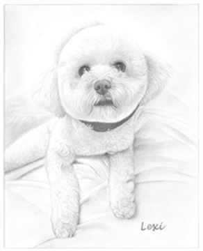 Hand Drawn Pencil Portraits from Photos | Pencil Portrait Drawing | Pencil Sketch Artists