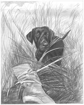 Hand Drawn Pencil Portraits from Photos | Pencil Portrait Drawing | Pencil Sketch Artists